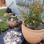 Vida Marina